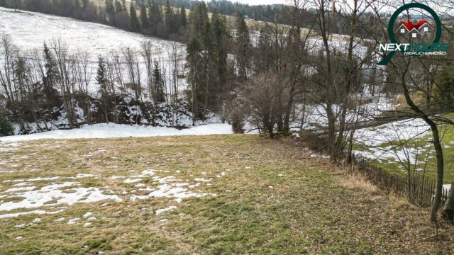 Działka inwestycyjna Dzianisz. Zdjęcie 6