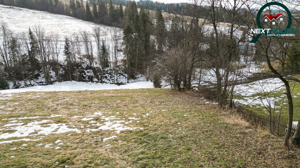 Działka inwestycyjna Dzianisz. Zdjęcie 6