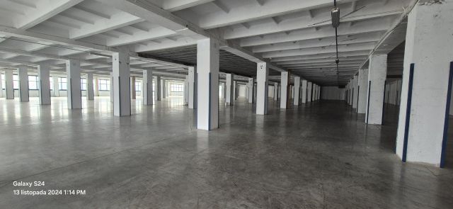 Hala/magazyn Łódź Widzew, ul. Lodowa. Zdjęcie 1