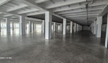 Hala/magazyn Łódź Widzew, ul. Lodowa