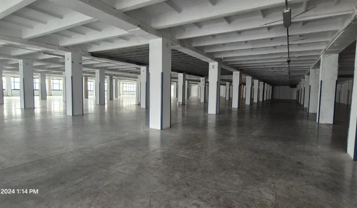 Hala/magazyn Łódź Widzew, ul. Lodowa