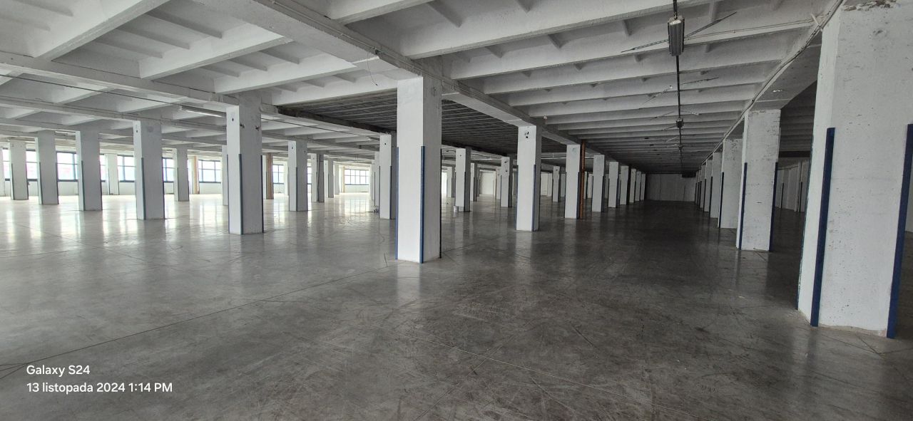 Hala/magazyn Łódź Widzew, ul. Lodowa