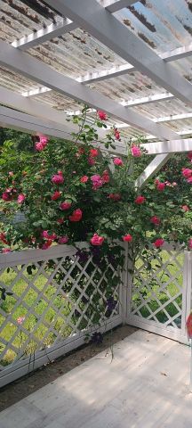 Działka rekreacyjna Kępiaste. Zdjęcie 8