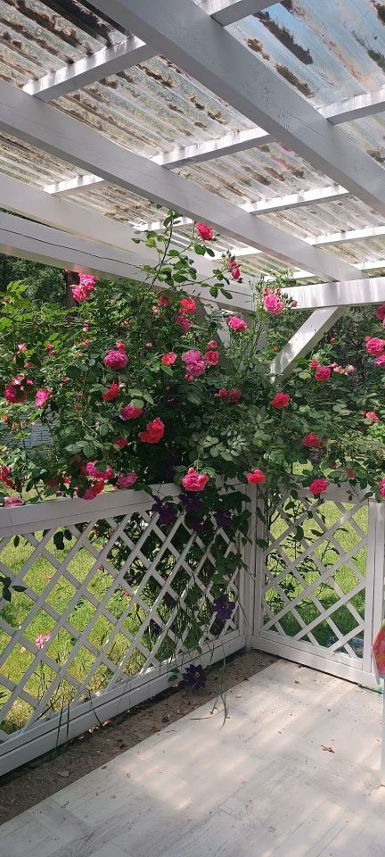 Działka rekreacyjna Kępiaste, Kępiaste. Zdjęcie 7