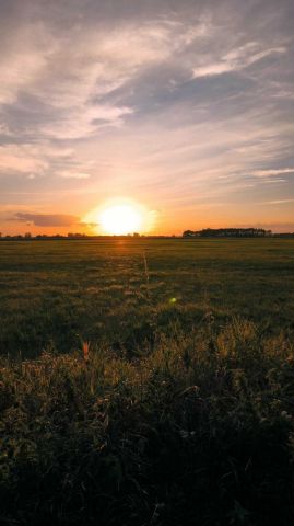 Działka budowlana Stary Waliszew. Zdjęcie 1