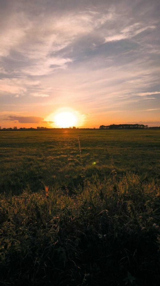Działka budowlana Stary Waliszew. Zdjęcie 1