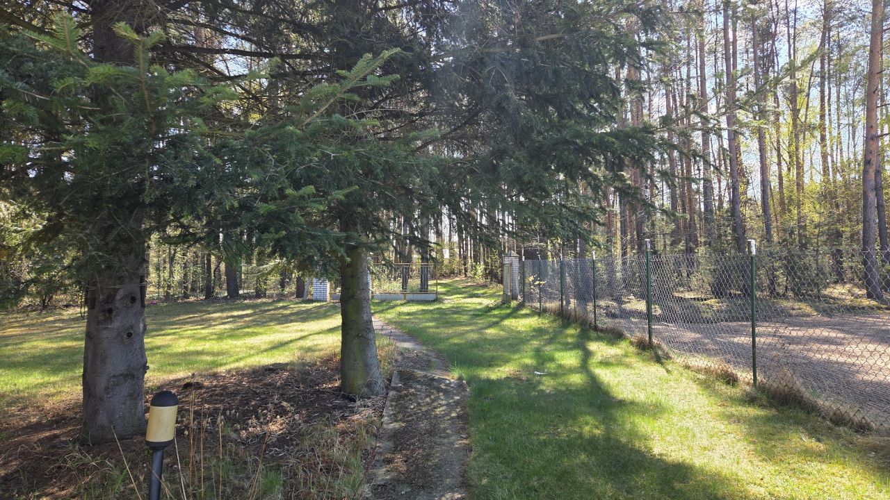 Działka rolna Szulborze Wielkie, Mianówek. Zdjęcie 5