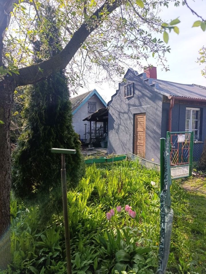 Działka rod Zaborze. Zdjęcie 3