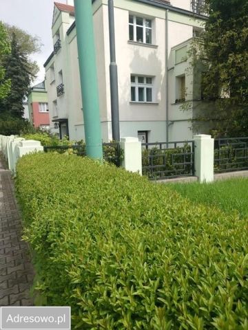 Lokal Poznań Sołacz, ul. Wołyńska. Zdjęcie 1