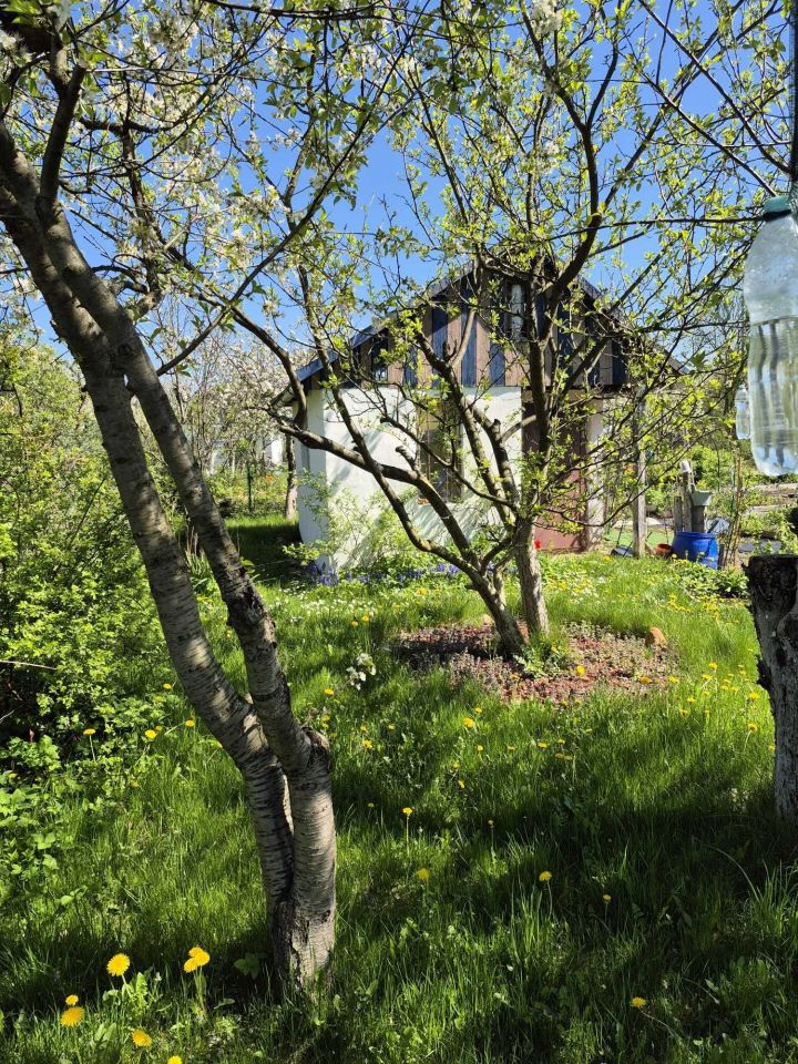 Działka rod Jelenia Góra Zabobrze. Zdjęcie 4