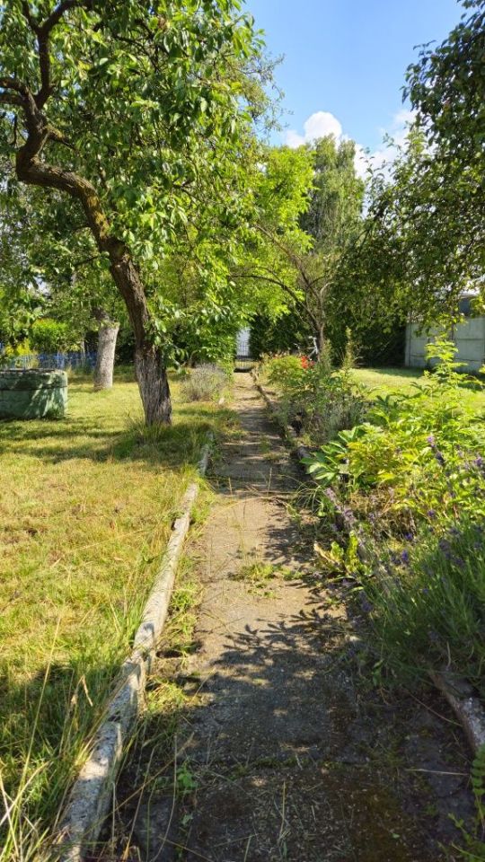 Działka rod Tarnowskie Góry Strzybnica. Zdjęcie 2