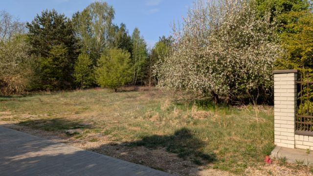 Działka budowlana Wiktorów, ul. Akacjowa. Zdjęcie 5