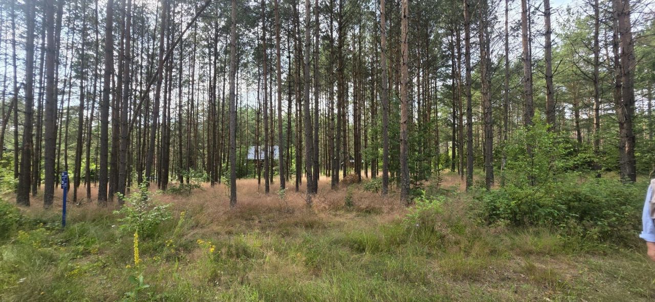 Działka rekreacyjna Niesiołowice. Zdjęcie 2