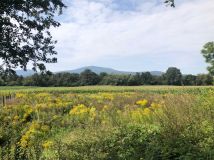 Działka budowlana Nasławice. Zdjęcie 1