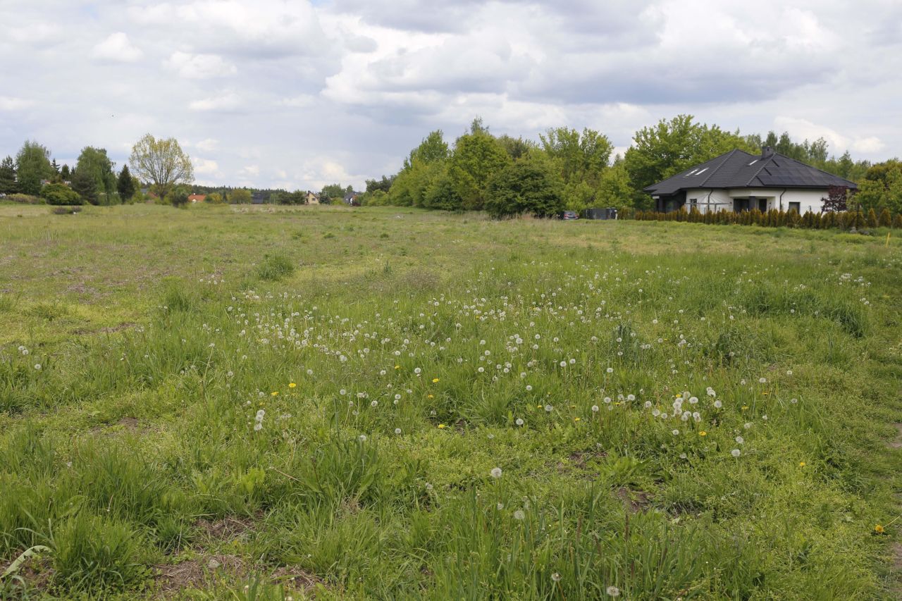 Działka budowlana Wyględy, ul. Cisowa