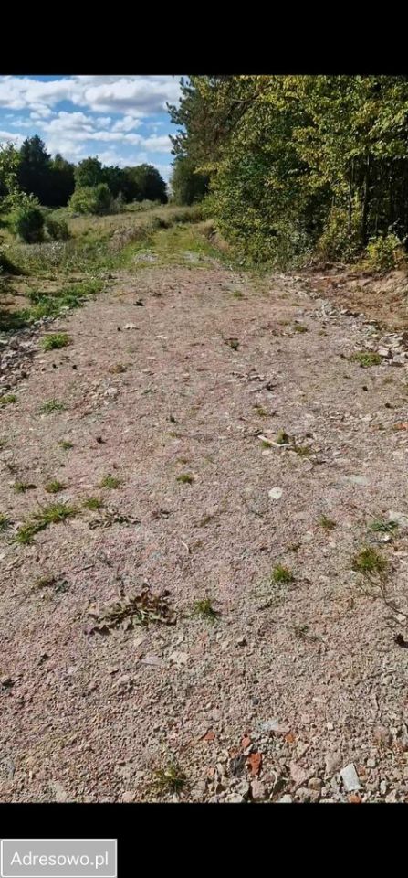 Działka budowlana Prokowo, ul. Kościelna. Zdjęcie 7