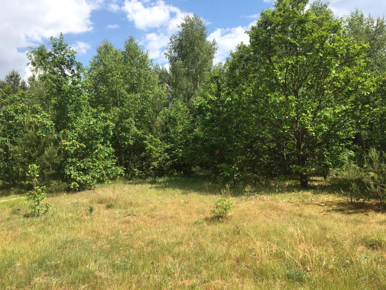 Działka rolna Plichta. Zdjęcie 1