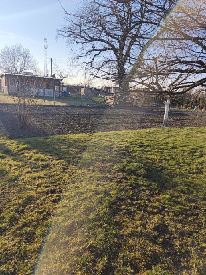 Działka rod Gostyń, ul. Hipolita Niestrawskiego. Zdjęcie 4