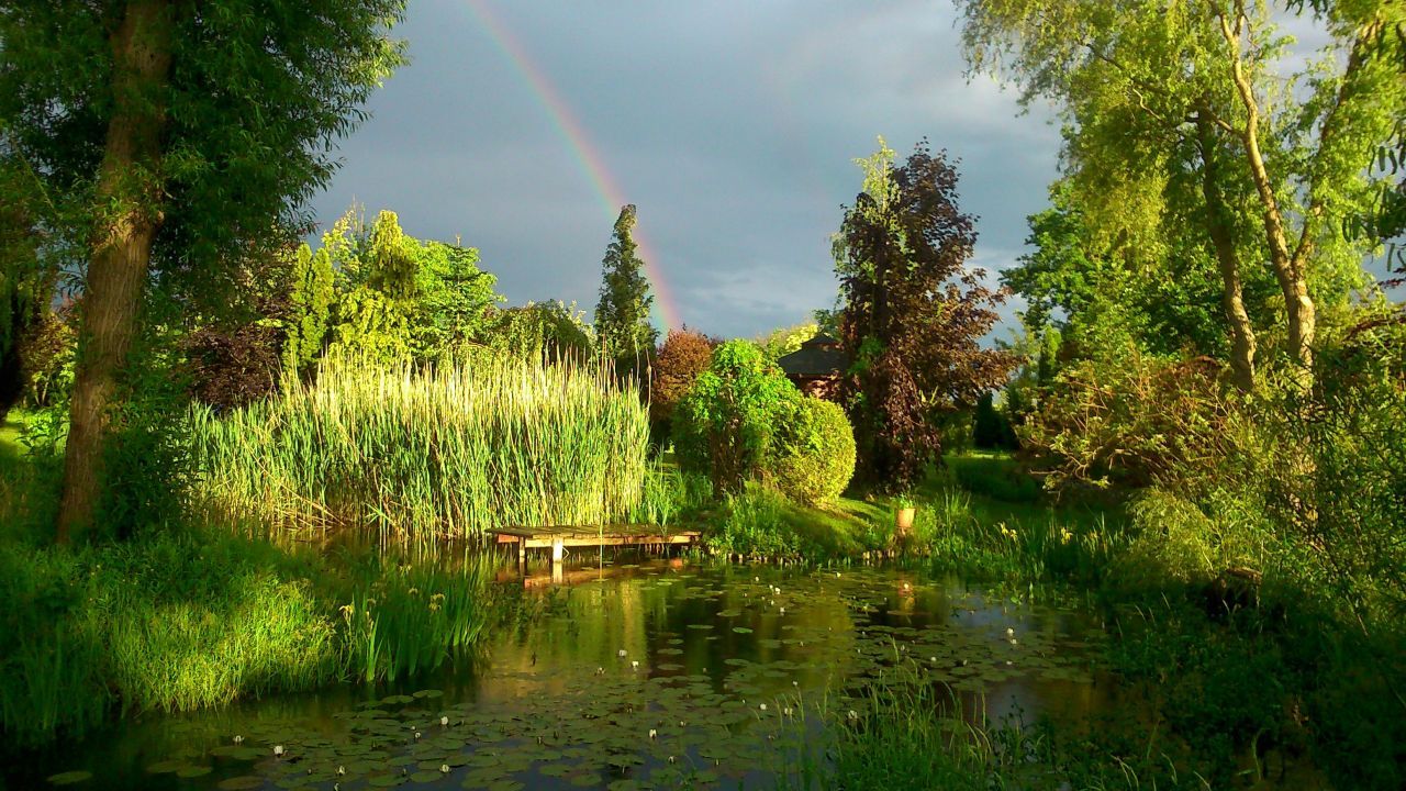 Działka budowlana Wisznia Mała, ul. Strzeszowska. Zdjęcie 5