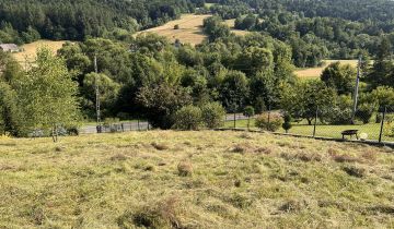 Działka budowlana Bartkowa-Posadowa