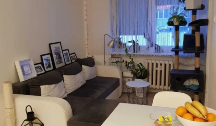 Mieszkanie 2-pokojowe Piekary Śląskie, ul. Konstytucji 3 Maja