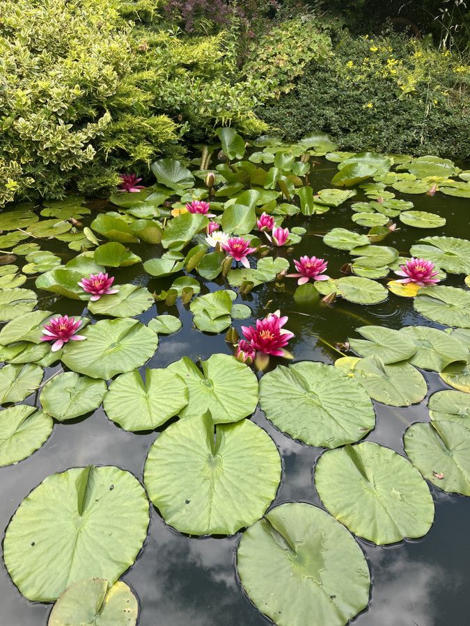 Działka rod Prawda. Zdjęcie 14