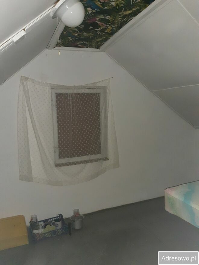 Działka rod Grzybiany. Zdjęcie 5