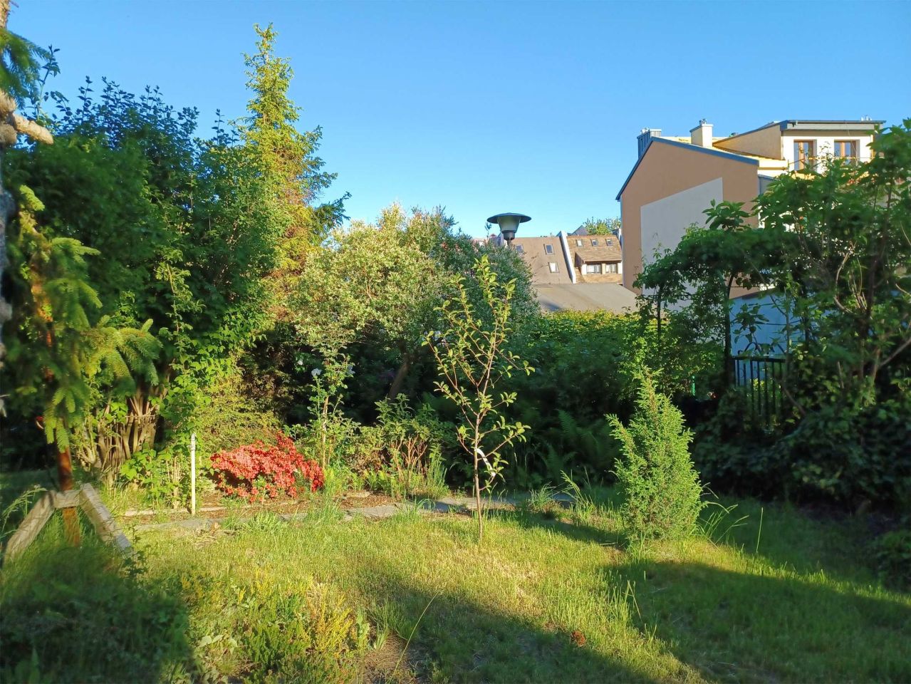 Działka rod Gdańsk Morena, ul. Myśliwska. Zdjęcie 6