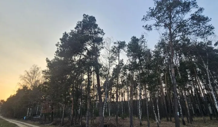 Działka budowlana Dokudów Drugi, Dokudów