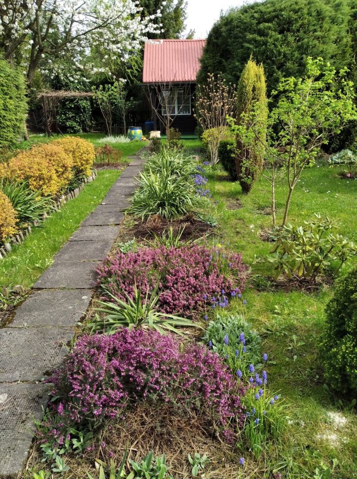 Działka rod Oświęcim. Zdjęcie 3