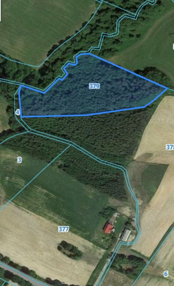 Działka rolna Chojno. Zdjęcie 2