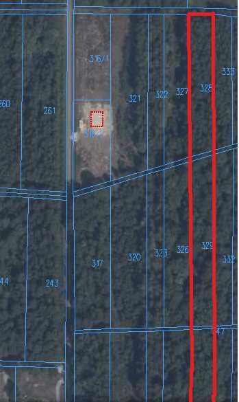 Działka leśna Zasów Parkany. Zdjęcie 2