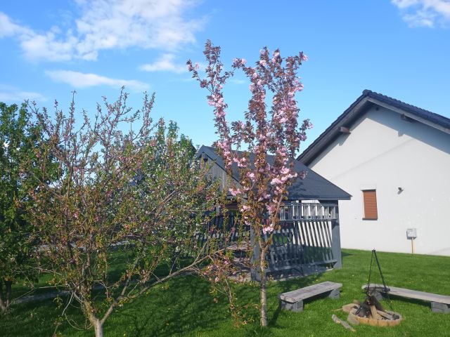 dom wolnostojący, 3 pokoje Żory Śródmieście, ul. Kominka. Zdjęcie 5