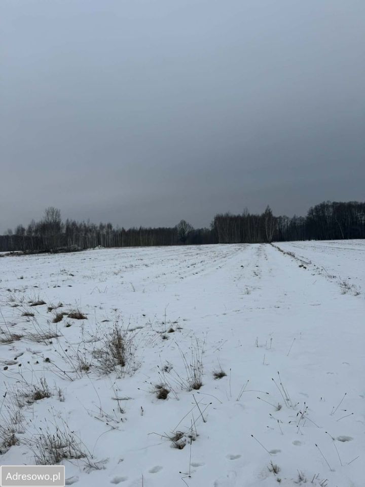 Działka rolno-budowlana Aleksandria. Zdjęcie 2