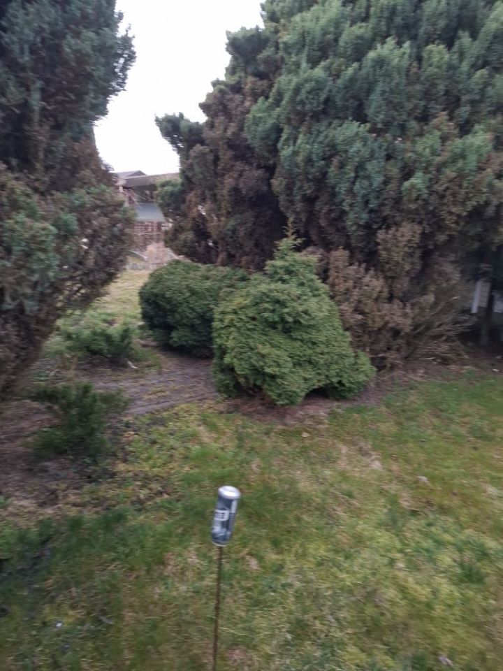 Działka rod Bełchatów. Zdjęcie 2