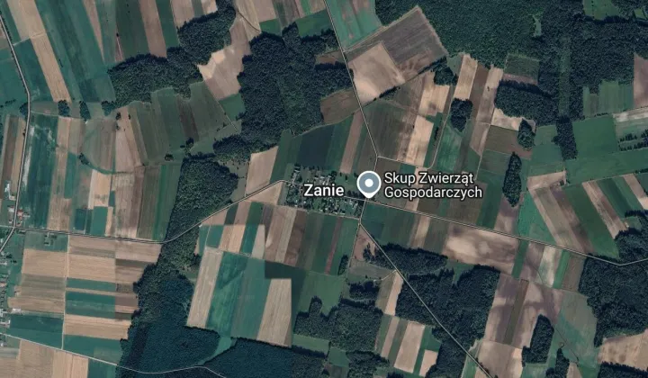 Działka rolna Zanie