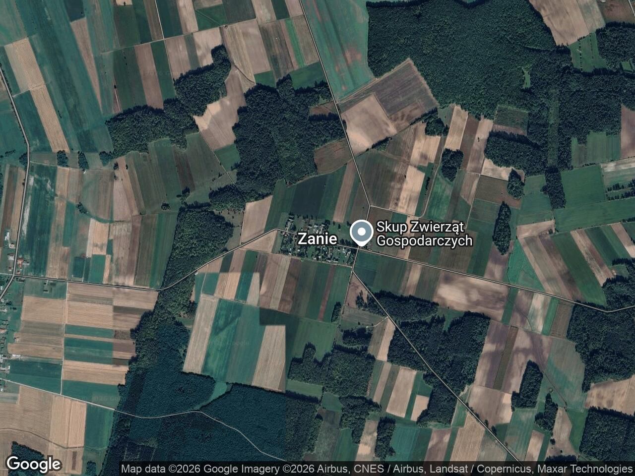 Działka rolna Zanie. Zdjęcie 1
