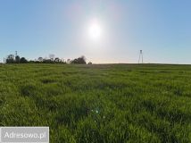 Działka rolna Glincz, ul. Dębowa. Zdjęcie 1