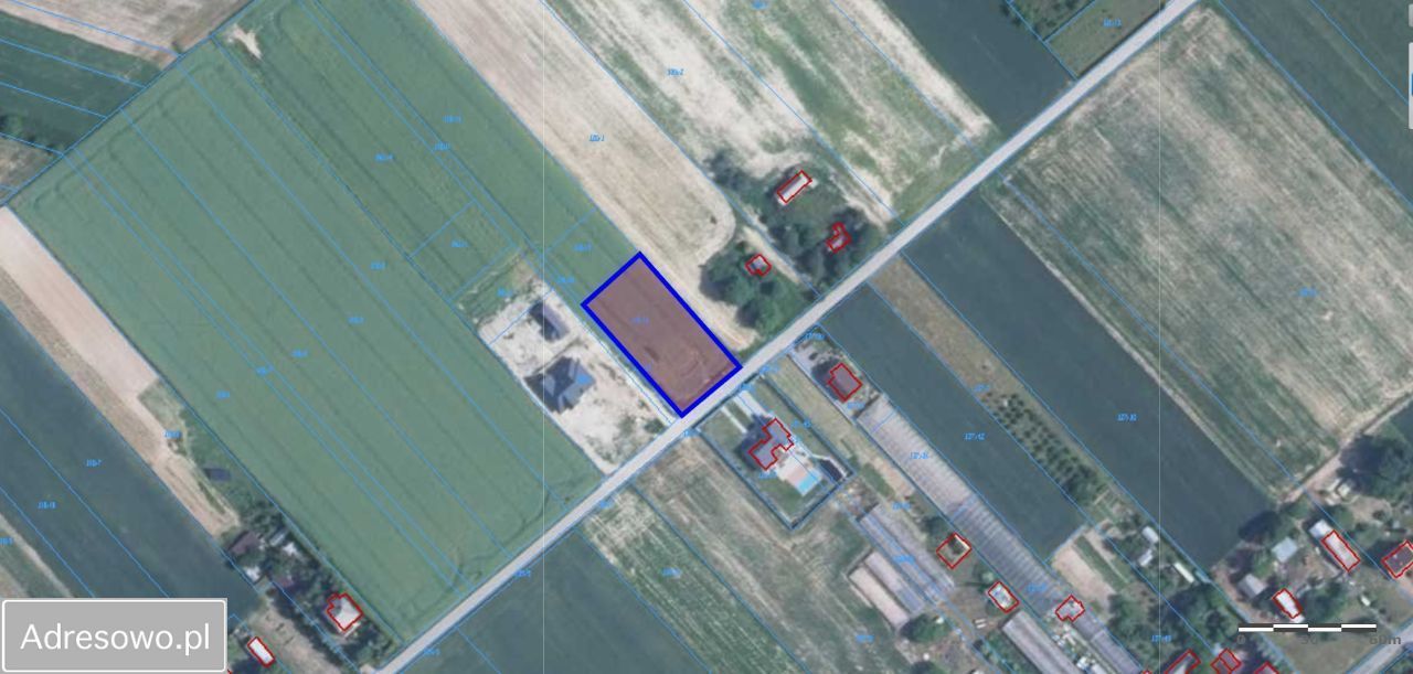 Działka rolno-budowlana Płoskie. Zdjęcie 12