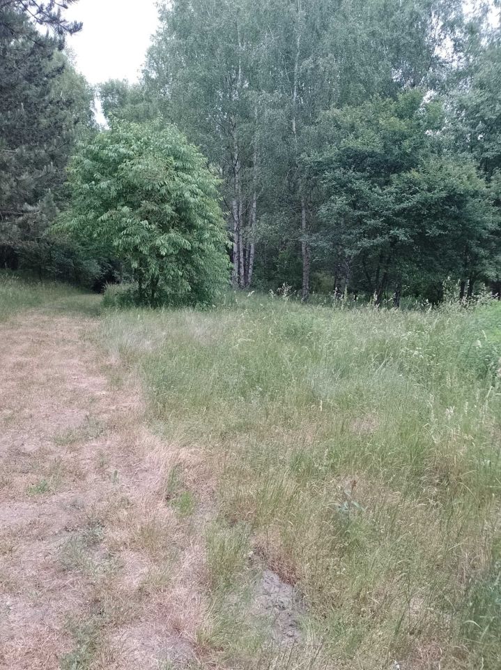 Działka budowlana Brzeziny. Zdjęcie 2