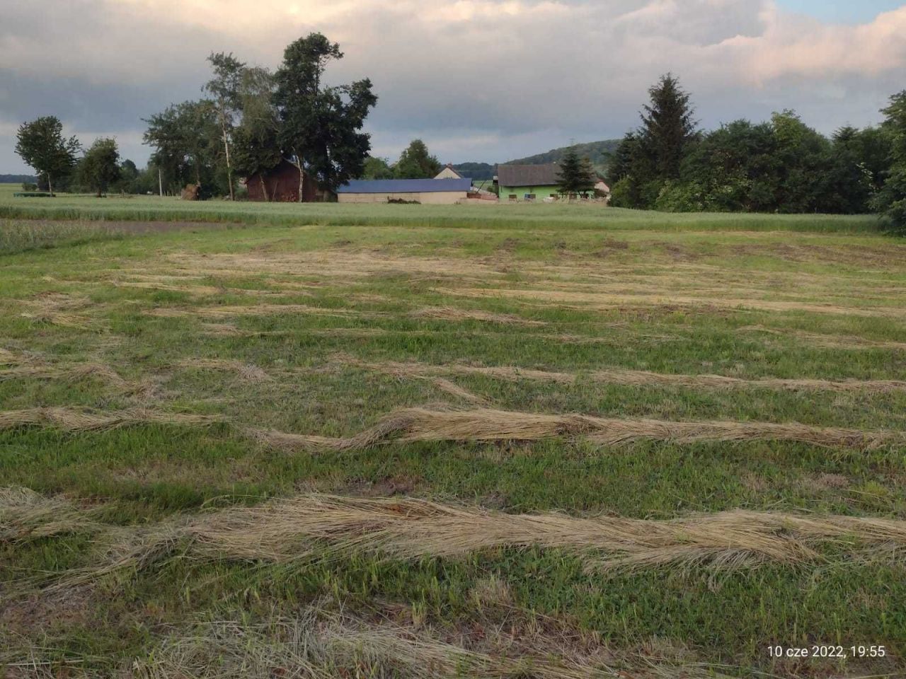 Działka rolno-budowlana Kępie. Zdjęcie 7