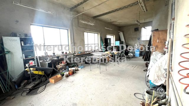 Działka Polichno. Zdjęcie 10