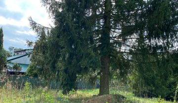 Działka rekreacyjna Piskórka