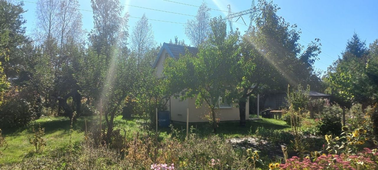 Działka rod Jastków. Zdjęcie 3