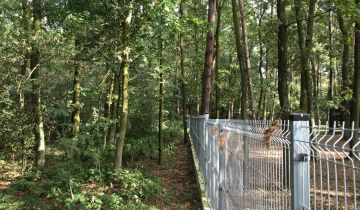 Działka Sękocin-Las, ul. Maślaka