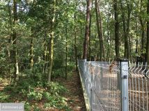 Działka Sękocin-Las, ul. Maślaka. Zdjęcie 1