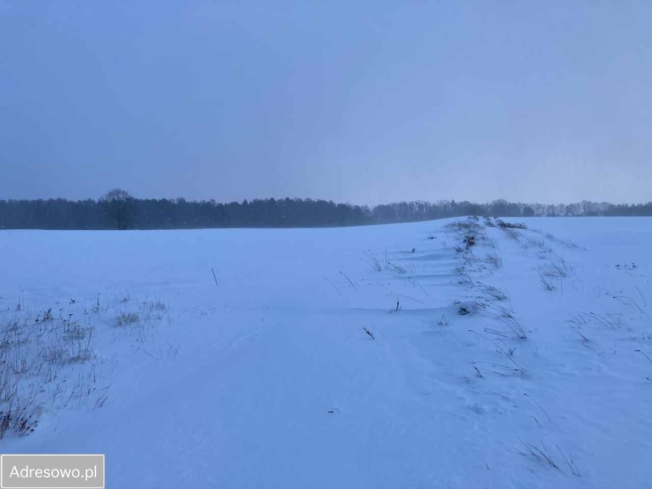 Działka inwestycyjna Miszewko