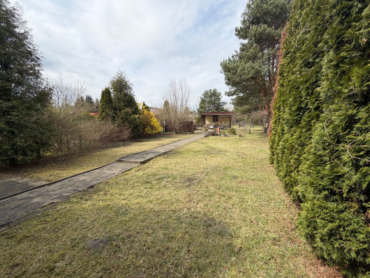 Działka rod Sosnowiec, ul. Kalinowa. Zdjęcie 6