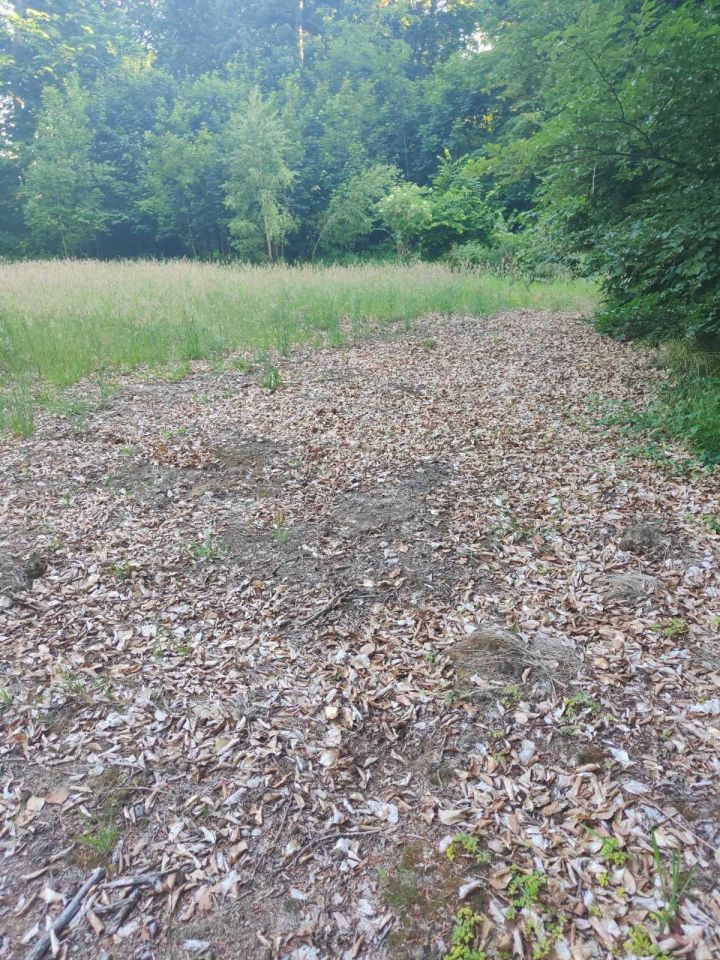 Działka rekreacyjna Dobra. Zdjęcie 5