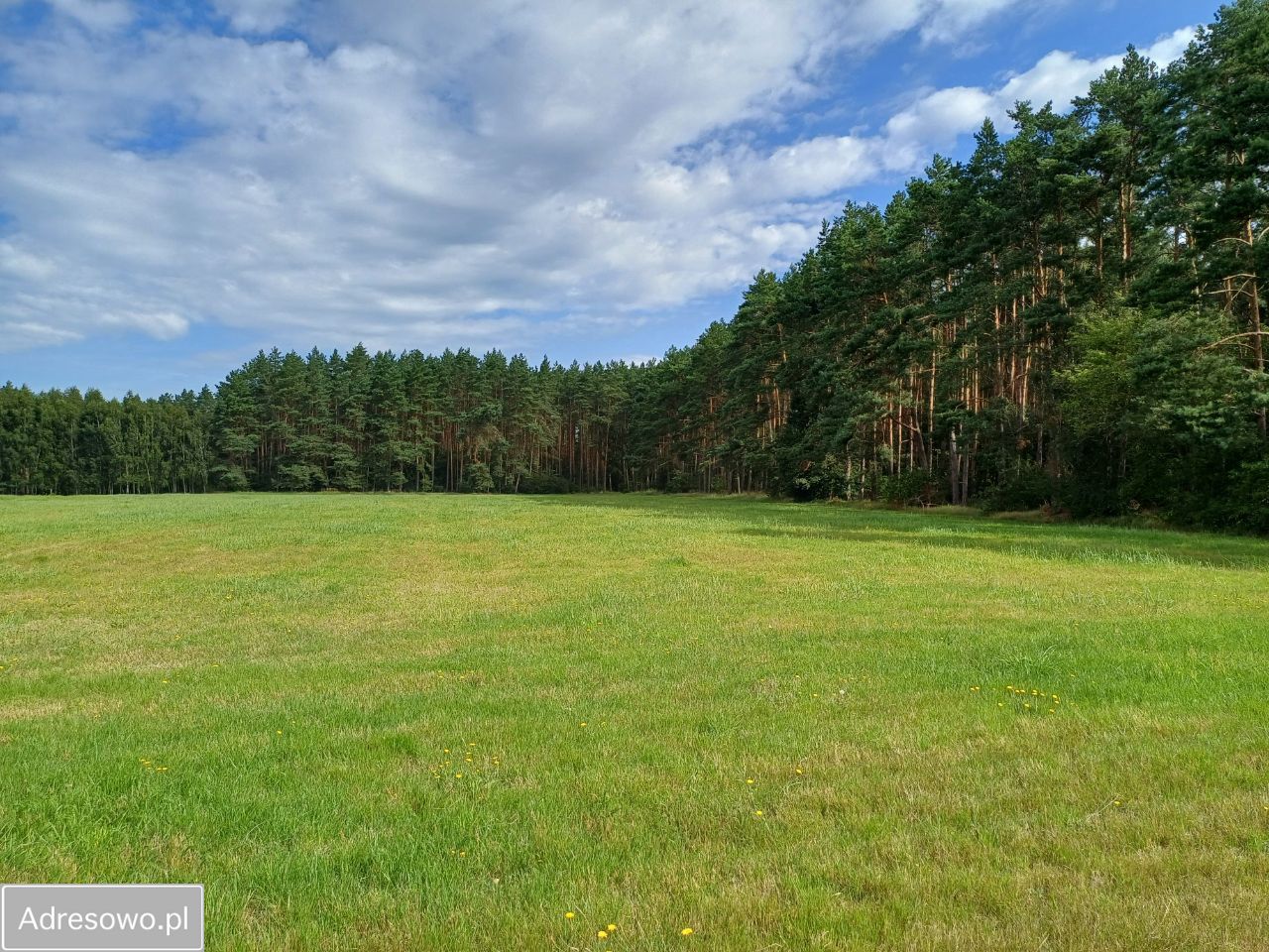 Działka budowlana Racimierz, ul. Wichrowa. Zdjęcie 8